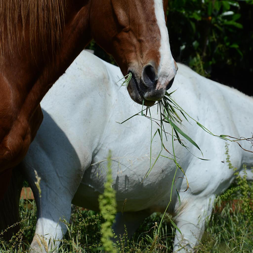 Slideshow_4