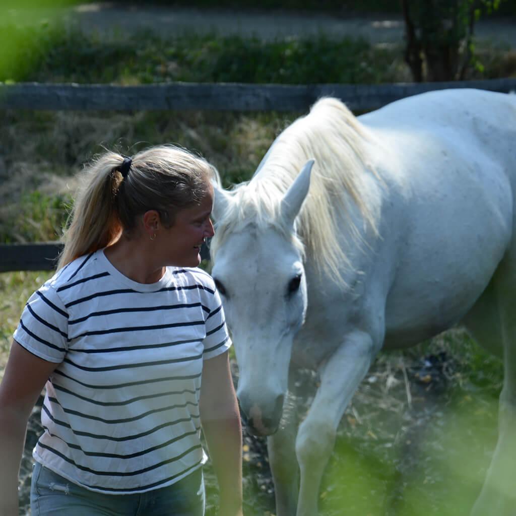 Slideshow_5